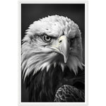 Load image into Gallery viewer, Regal Eagle: Close-Up
