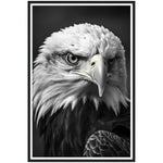 Load image into Gallery viewer, Regal Eagle: Close-Up