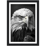 Load image into Gallery viewer, Regal Eagle: Close-Up
