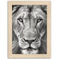 Lion Roar in Monochrome Photograph Wall Art Print