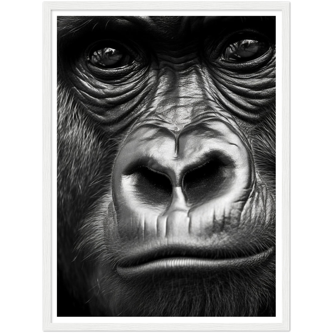 Wild Gaze Gorilla Photograph Wall Art Print