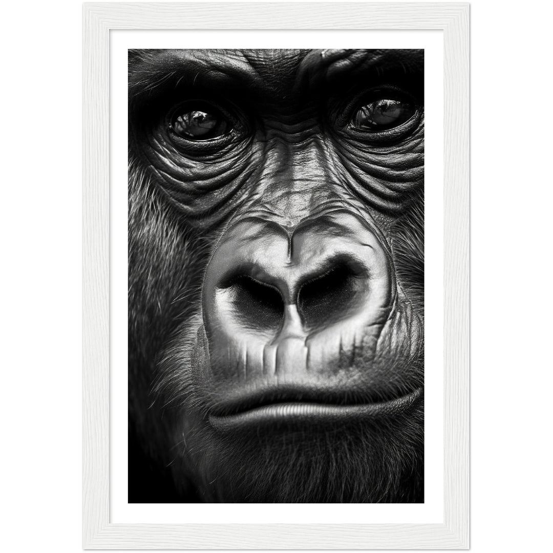 Wild Gaze Gorilla Photograph Wall Art Print