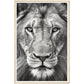 Lion Roar in Monochrome Photograph Wall Art Print