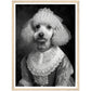 Poodle Bride Victorian Animal Portraiture Wall Art Print