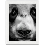 Load image into Gallery viewer, Panda Pose Perfection Photograph Wall Art Print