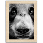 Load image into Gallery viewer, Panda Pose Perfection Photograph Wall Art Print
