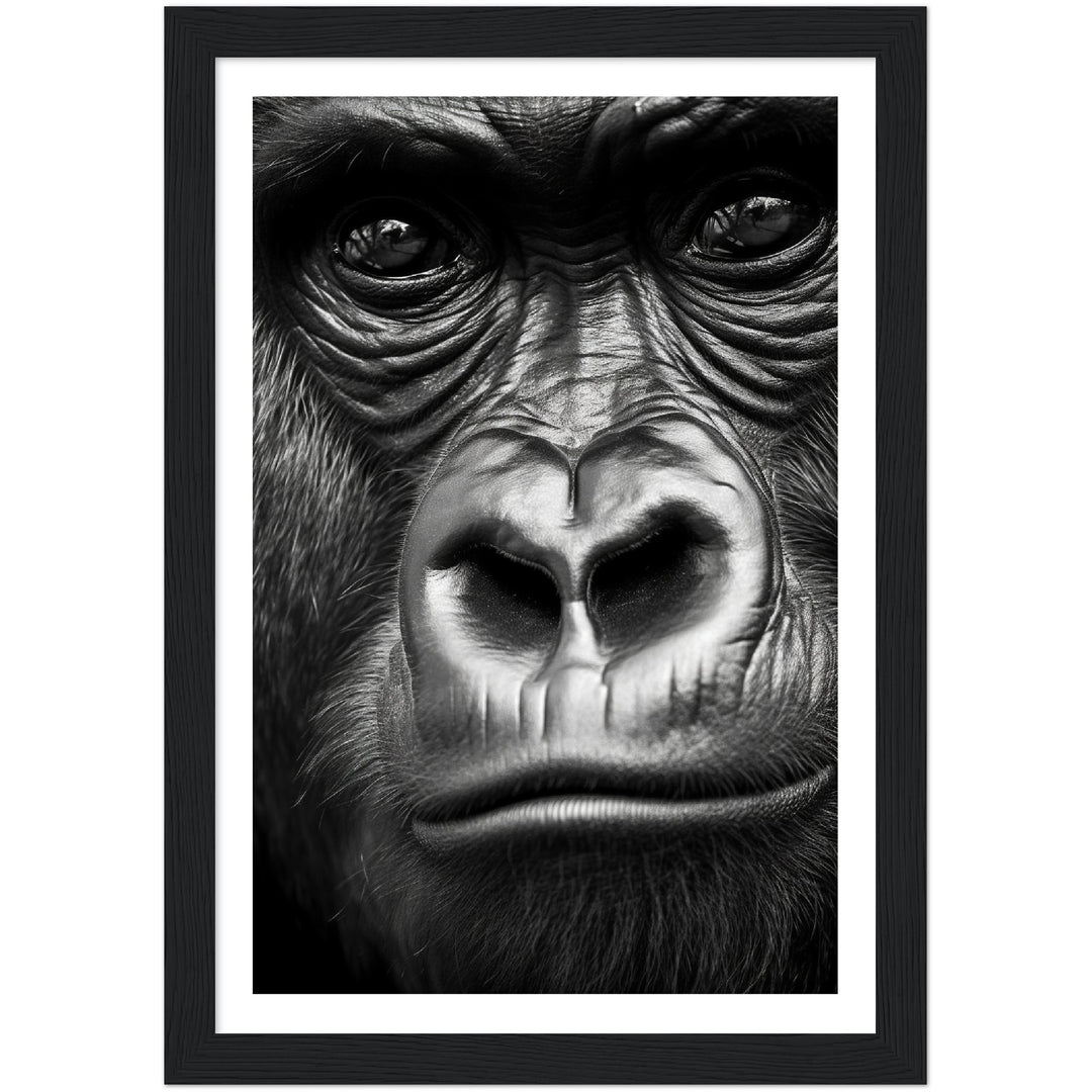 Wild Gaze Gorilla Photograph Wall Art Print