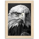 Load image into Gallery viewer, Regal Eagle: Close-Up
