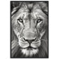 Lion Roar in Monochrome Photograph Wall Art Print