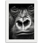 Load image into Gallery viewer, Wild Gaze Gorilla Photograph Wall Art Print
