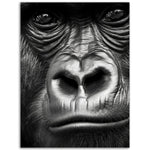 Load image into Gallery viewer, Wild Gaze Gorilla Photograph Wall Art Print
