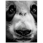 Load image into Gallery viewer, Panda Pose Perfection Photograph Wall Art Print
