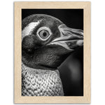 Load image into Gallery viewer, Penguin Portrait Photograph Wall Art Print